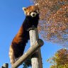 Profilbild von 鯖江市西山動物園