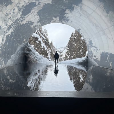 donguri's profile picture