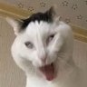わなわな 的头像