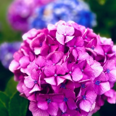 ハオ's profile picture