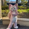 ほっしーのディズニー垢 2026/9/4🌏🌃13🏰🌃未定15🌏29舞浜 的头像