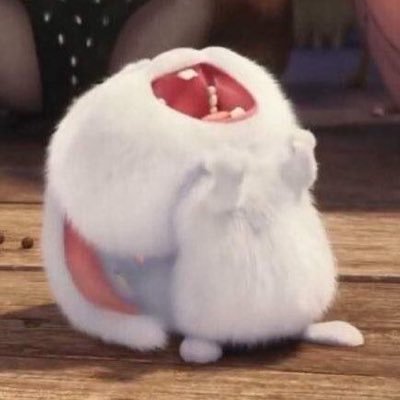 상느's profile picture