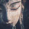 Profilbild von BuddhaHand