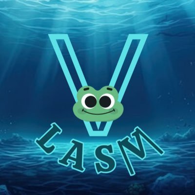 L A S | V |'s profile picture