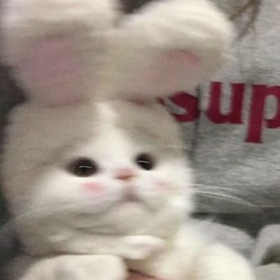 소리's profile picture