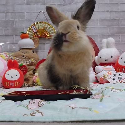 yuetochirofuku's profile picture