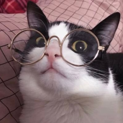 Andy安迪's profile picture