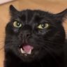 Esperancito's profile picture