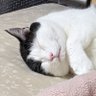 tanuyama（タヌーン） profil fotoğrafı