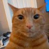 Carlitos profil fotoğrafı
