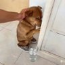 Фото профиля Waterdrinkologist