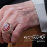 Fateme Gholami's profile picture