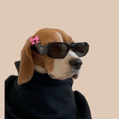 ฌอรอ ིིྀ𓐄🍒's profile picture