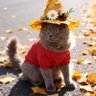 mimilu's profile picture