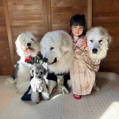 yamanookukara's profile picture