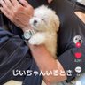 ちゃんひい②'s profile picture