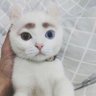 素人童帝、俊光88歳's profile picture