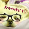 川鮫's profile picture