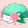 Profilbild von PinkEXP