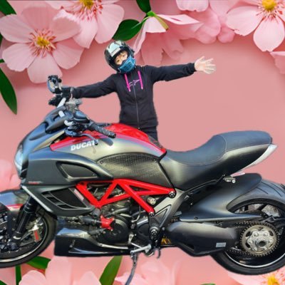 2505niko's profile picture