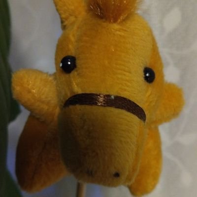 世話 人's profile picture