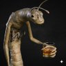 ciekawość świata's profile picture