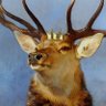 👑King Hirsch🦌 的头像