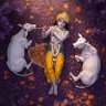 Sivkar's profile picture