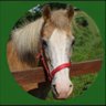 Фото профиля HORSEY MATILDA