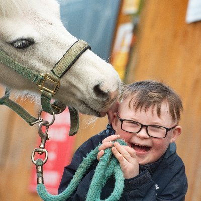Park Lane Stables's profile picture