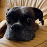 らいx's profile picture