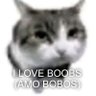 Profilbild von bababoi♪~