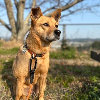 エリィ's profile picture