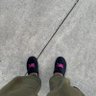 Joe Gibss's profile picture