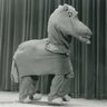 Profilbild von Panted Mime Horse