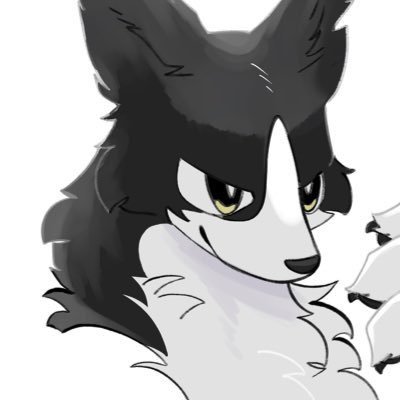 rabbird_6L's profile picture