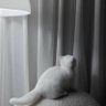 くぼ profil fotoğrafı