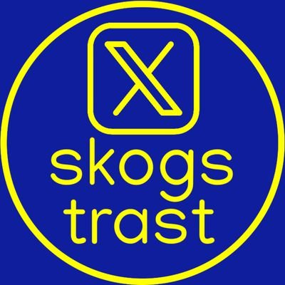 skogstrast's profile picture