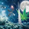 Фото профиля 🅰️ssh🅾️le Trader 💊🦛