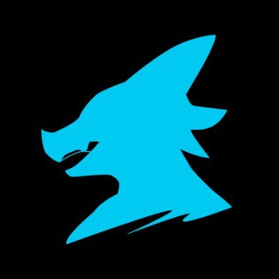 𝗞-𝗟𝗜𝗡𝗘🐦⬛デザフェスN-187,8's profile picture