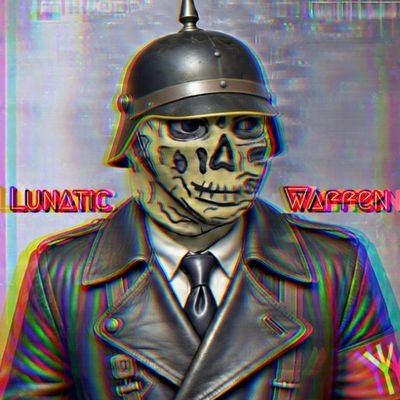 LunaticWaffen1's profile picture