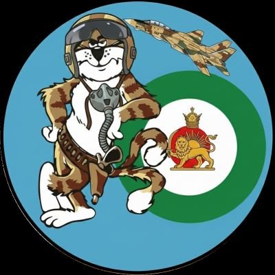 تامکت 🇮🇷's profile picture