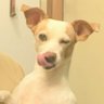 Gregory Beard's profile picture