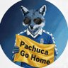 Фото профиля Zorro Azul 🦊 Pachuca Go Home