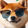 Zaifsnarts's profile picture