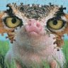 Алар Гібрыд profil fotoğrafı