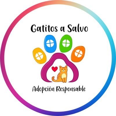 🐾🐾Gatitos a salvo🐾🐾's profile picture