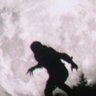 Werewolf Movies Daily's profile picture