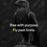 Фото профиля Meresei⚓
