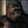 Profilbild von KingKongTurd